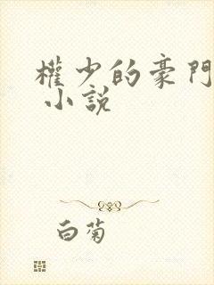 权少的豪门契约 小说