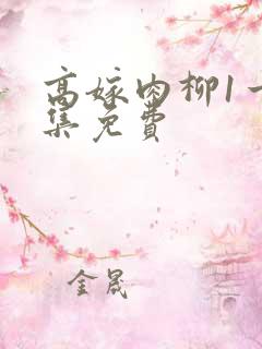 高嫁肉柳1一4集免费