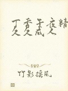 丁香午夜精品久久久成人