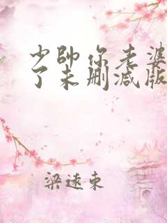 少帅你老婆又跑了未删减版免费阅读