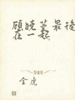 顾晓菱最后和谁在一起