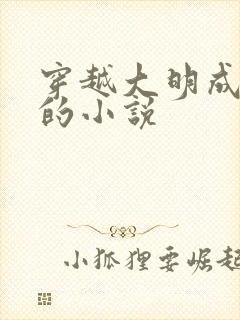 穿越大明成崇祯的小说