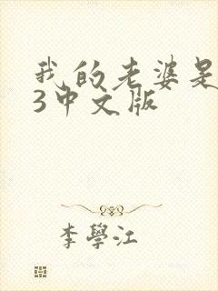 我的老婆是大佬3中文版