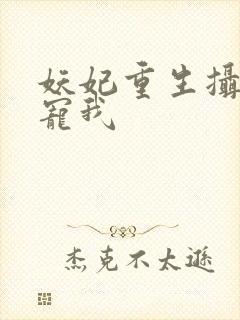 妖妃重生摄政王宠我