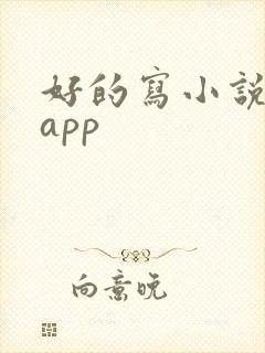 好的写小说软件app