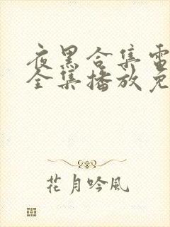 夜黑合集电视剧全集播放免费观看