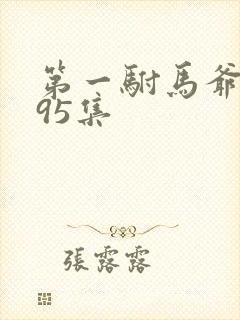 第一驸马爷短剧95集