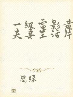 一级电影黄色的夫妻生活片