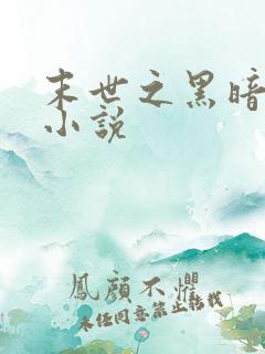 末世之黑暗时代小说