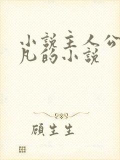 小说主人公叶不凡的小说