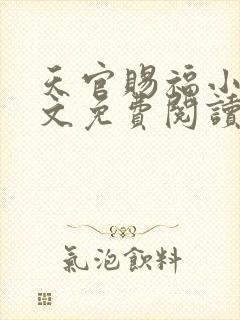 天官赐福小说全文免费阅读未删减版