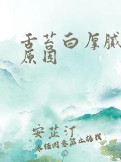 舌苔白厚腻是啥原因