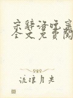 宋辞洛晚宁小说全文免费阅读