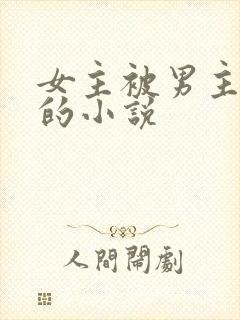 女主被男主绑架的小说