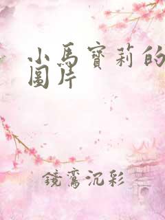 小马宝莉的q版图片