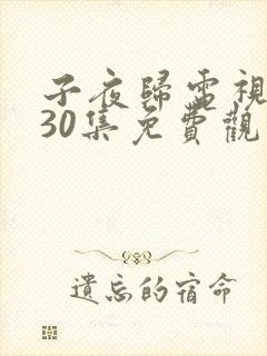 子夜归电视剧第30集免费观看