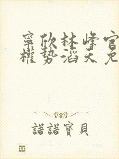 宁欣林峰官道之权势滔天免费阅读