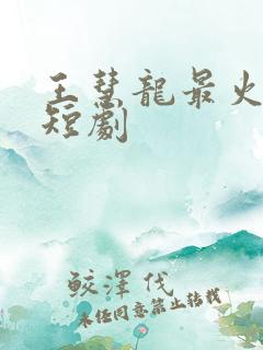 王慧龙最火十部短剧