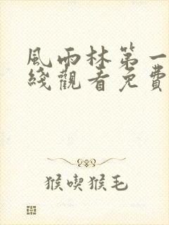 风雨林第一季在线观看免费高清版