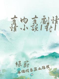 有肉有剧情的言情小说1对1