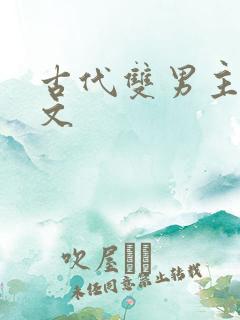 古代双男主生子文