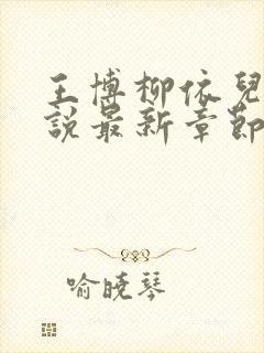 王博柳依儿的小说最新章节在线阅读