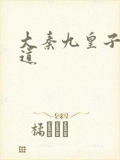 大秦九皇子秦无道