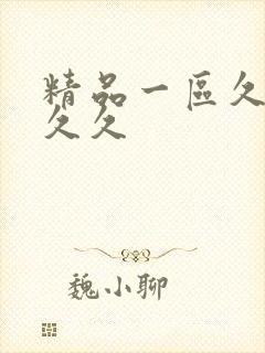 精品一区久久久久久