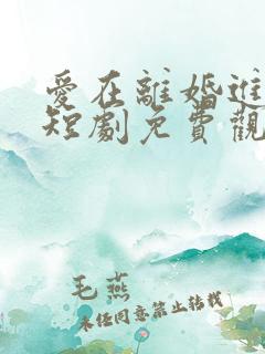 爱在离婚进行时短剧免费观看完整版