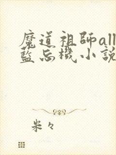 魔道祖师all蓝忘机小说