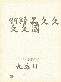 99精品久久久久久国