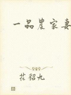 一品农家妻小说