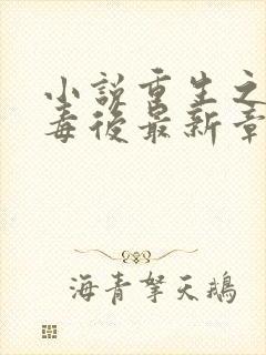 小说重生之将门毒后最新章节