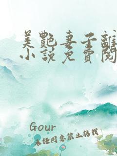 美艳妻子离婚后小说免费阅读txt