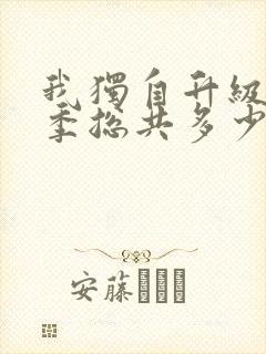 我独自升级第二季总共多少集