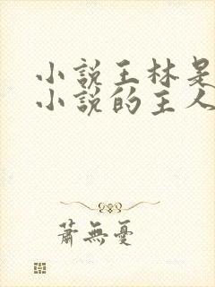 小说王林是哪本小说的主人公