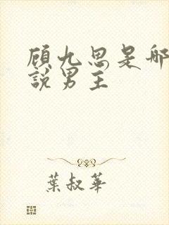 顾九思是哪本小说男主