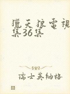 猎天狼电视剧全集36集