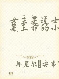 女主是道士男主是王爷的小说