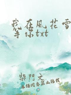 我在风花雪月里等你txt