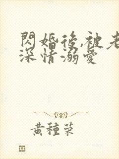 闪婚后,被老公深情溺爱