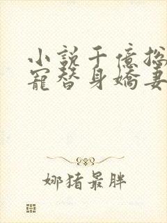 小说千亿总裁独宠替身娇妻完整版未删减小说