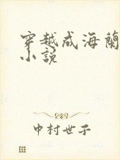 穿越成海兰珠的小说