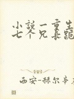 小说一重生后,七个兄长跪着求原谅