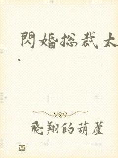 闪婚总裁太霸道.