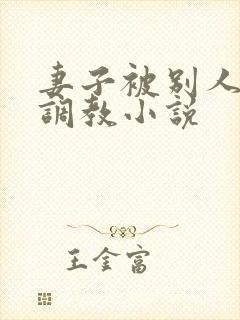 妻子被别人开发调教小说