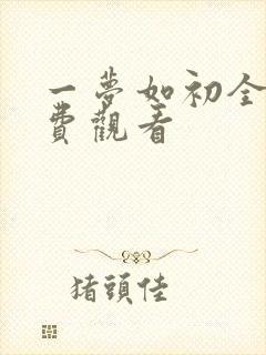 一梦如初全集免费观看