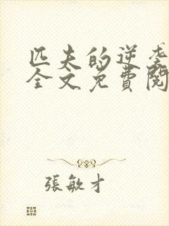 匹夫的逆袭小说全文免费阅读全文