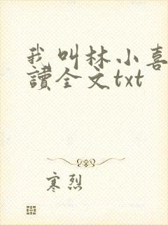 我叫林小喜全阅读全文txt