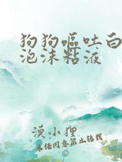 狗狗呕吐白色的泡沫粘液